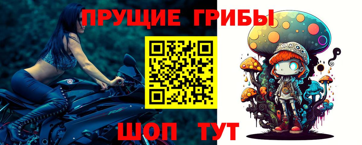 Галлюциногенные грибы мухоморы Камышлов