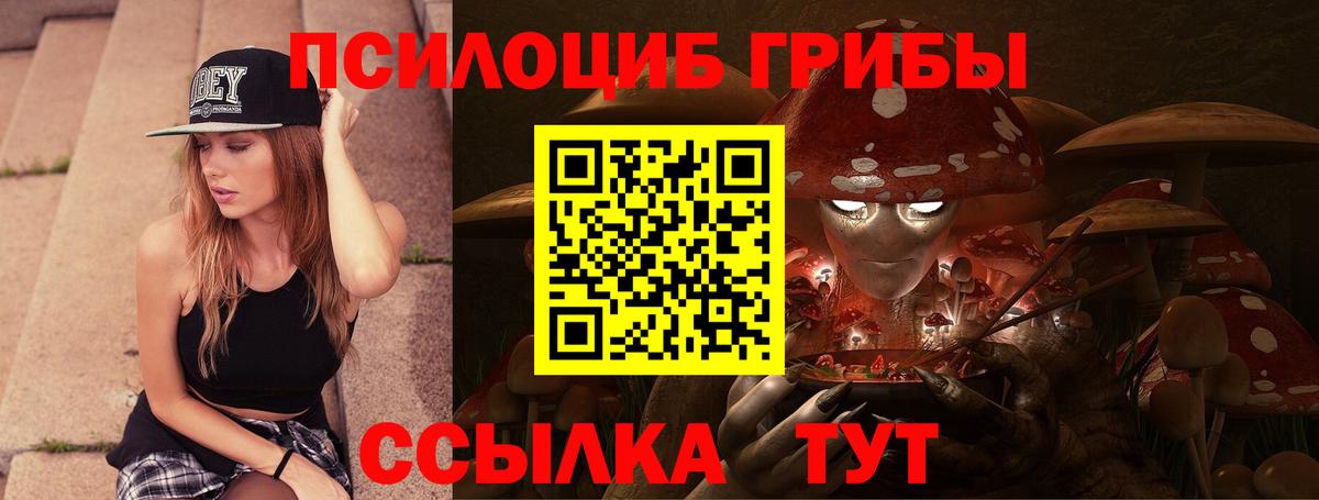 Псилоцибиновые грибы Magic Shrooms  Вход с VPN  Камышлов 